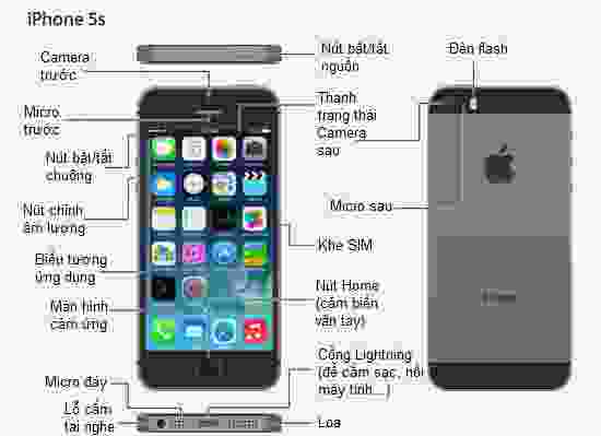 iPhone 5S  Wikipedia tiếng Việt