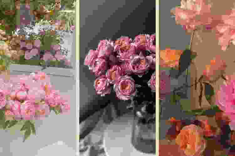 Chi tiết với hơn 100 tải hình nền hoa đẹp cho điện thoại mới nhất  Tin Học  Vui