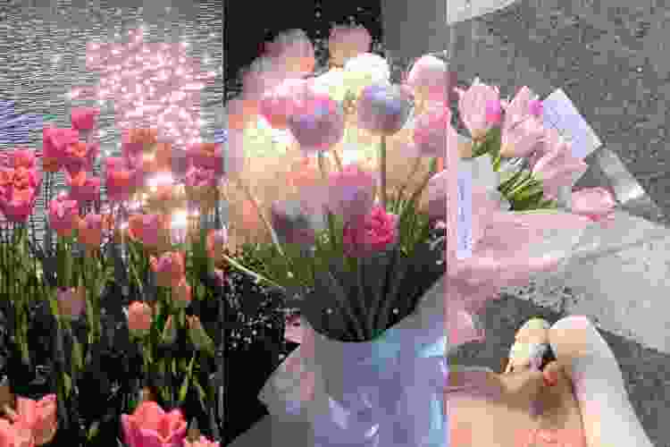 Các mẫu hoa hình nền đẹp và ấn tượng dành cho điện thoại của bạn