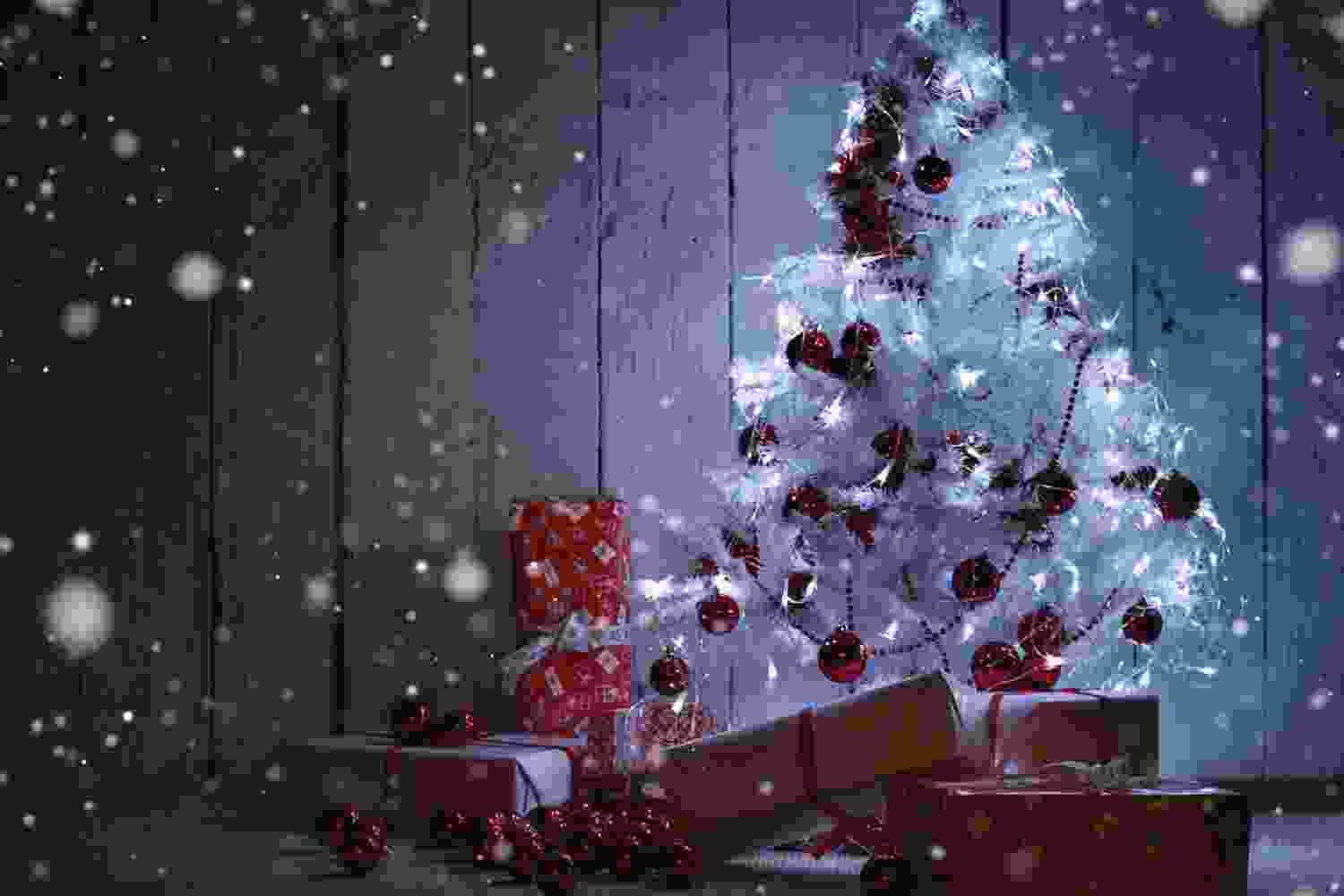 Nhiều hình nền Noel đẹp hình nền cây thông Noel đẹp nhất năm 2024