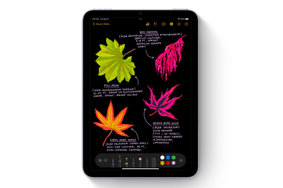 màn hình iPad mini 8.3 2021 5G