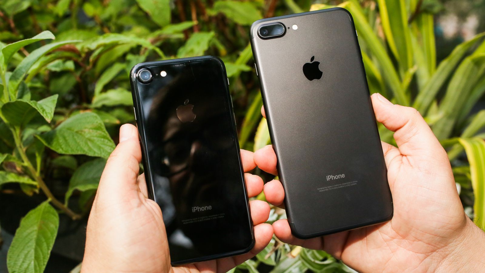 iPhone màu đen mờ và iPhone màu đen bóng