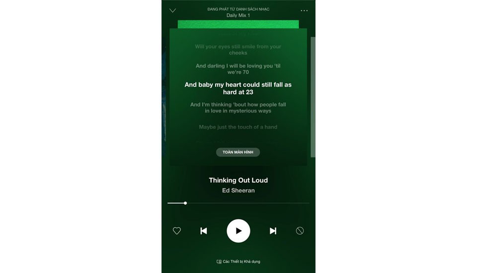Lời bài hát đã được hiển thị trong ứng dụng Spotify.