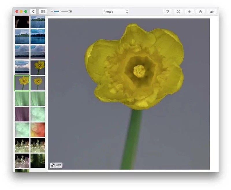 Cách sử dụng Photos chỉnh sửa ảnh trên Mac 14