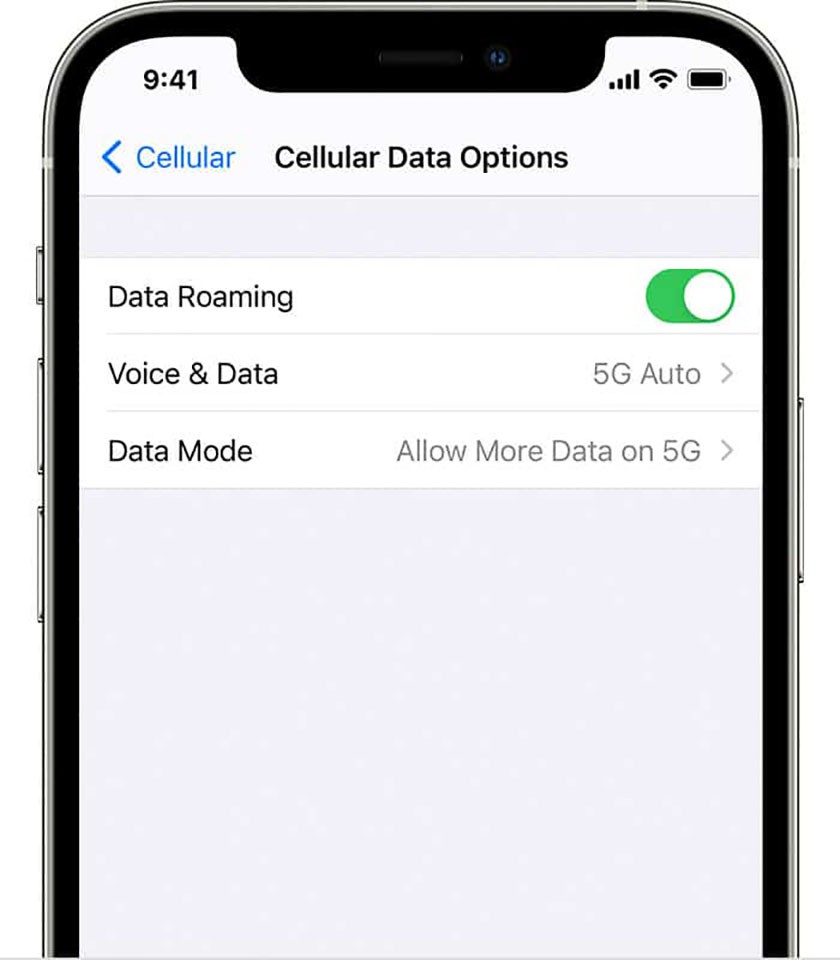 Người dùng iPhone 12 hiện có thể tải bản cập nhật iOS qua mạng 5G