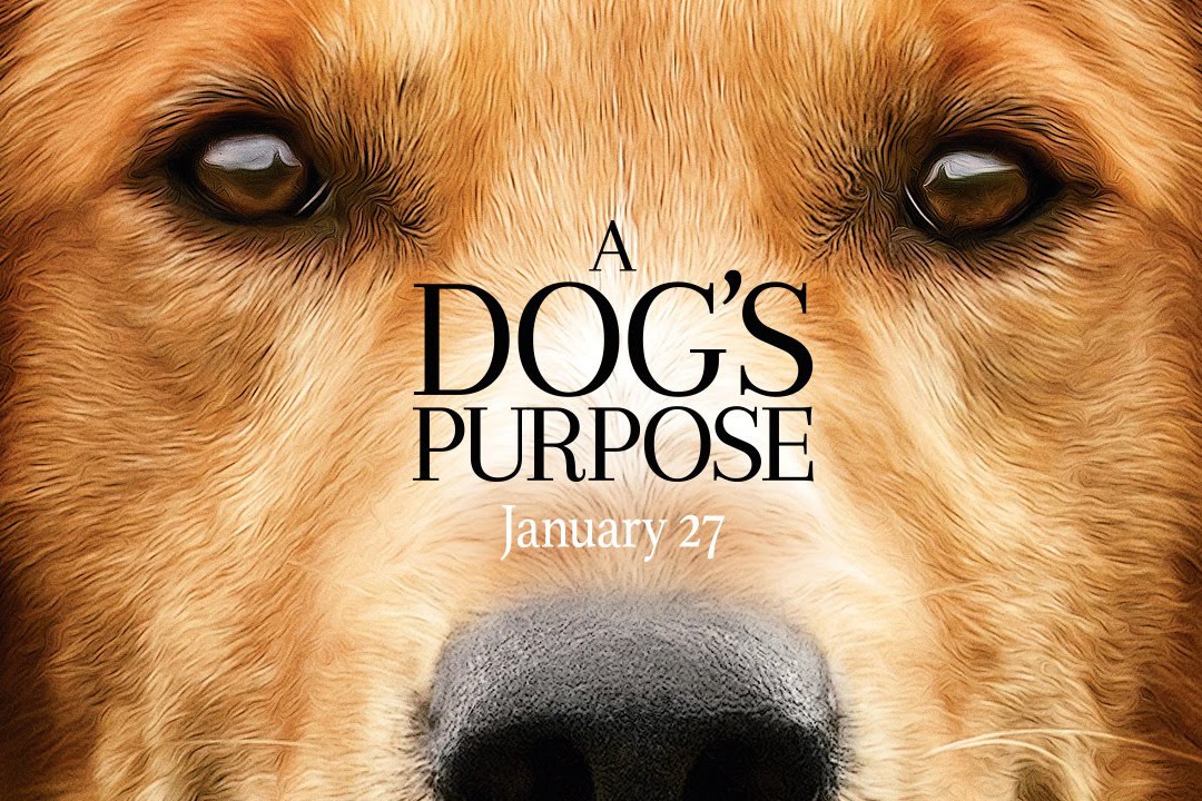 Mục đích của một con chó trong cuộc sống (2017)