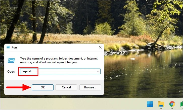 Cách hiển thị tệp và thư mục ẩn trên Windows 11 (10)