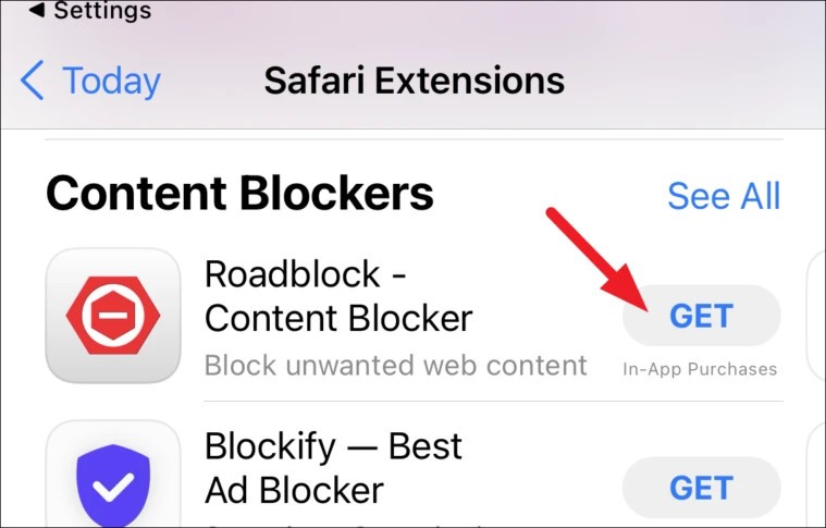 Cách cài đặt tiện ích mở rộng Safari trên iPhone (9)