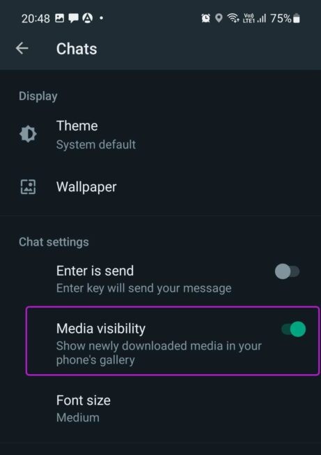 Cách ngăn WhatsApp lưu ảnh trên iPhone và Android (9)