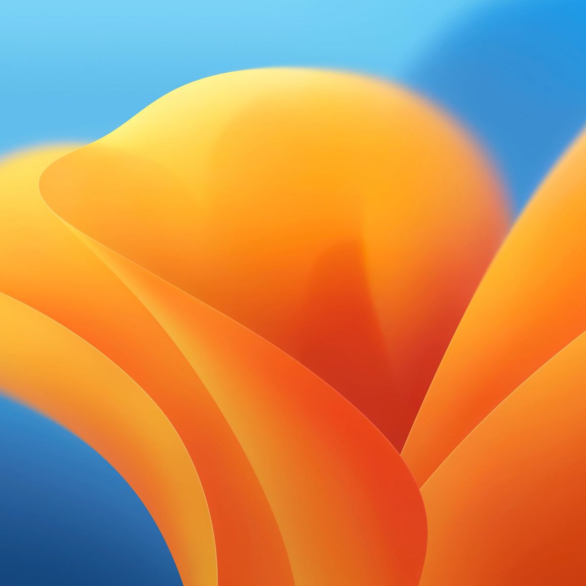 Bộ hình nền macOS Big Sur dành cho iPhone, iPad và máy tính