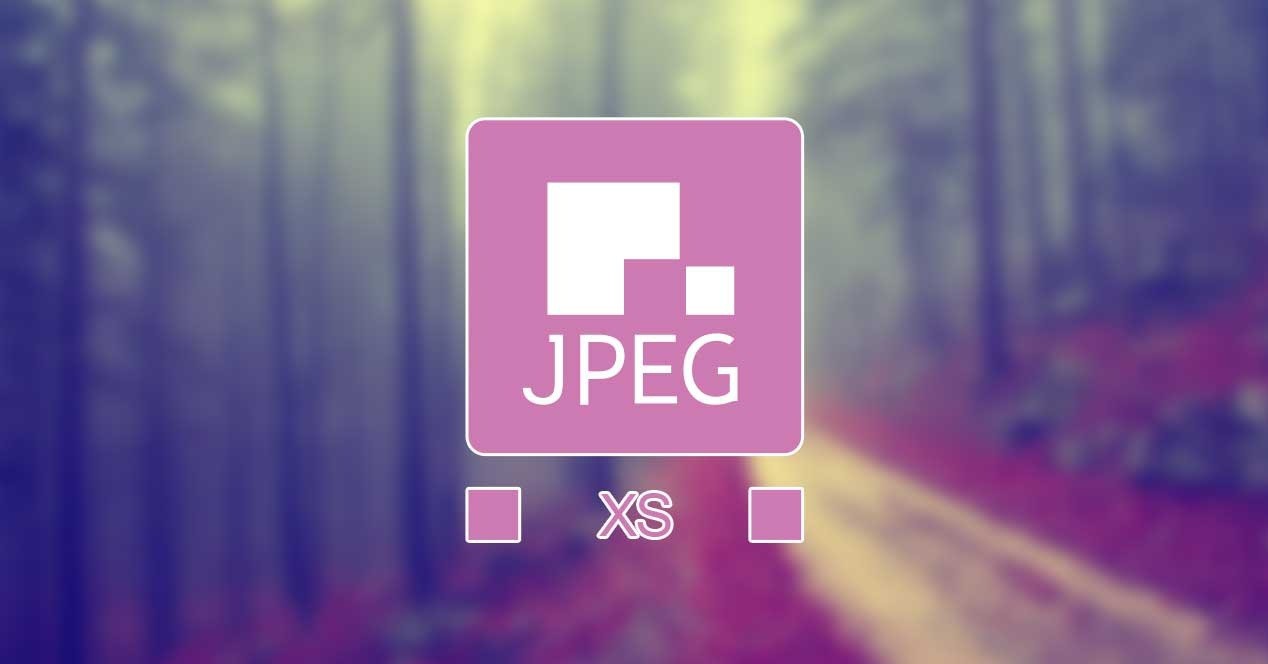 Định dạng ảnh JPEG là gì? Ảnh JPEG có gì khác ảnh PNG? 2