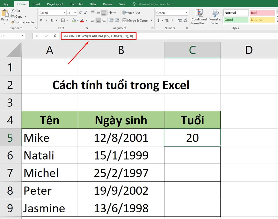 Cách tính tuổi trong Excel - Ảnh 06