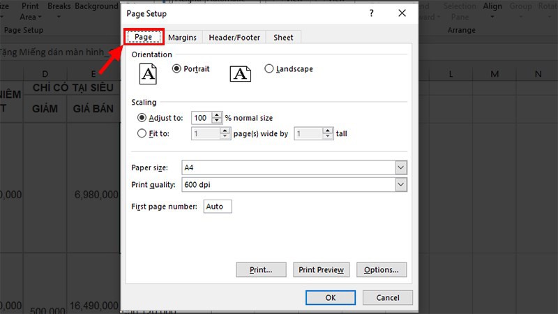 Cách in ngang giấy A4 file Excel (Ảnh 3)