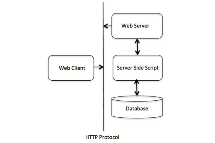 Minh họa cấu trúc HTTP