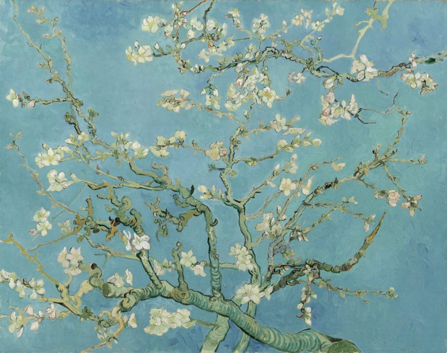 Hoa hạnh nhân (tiếng Anh: Almond blossoms)