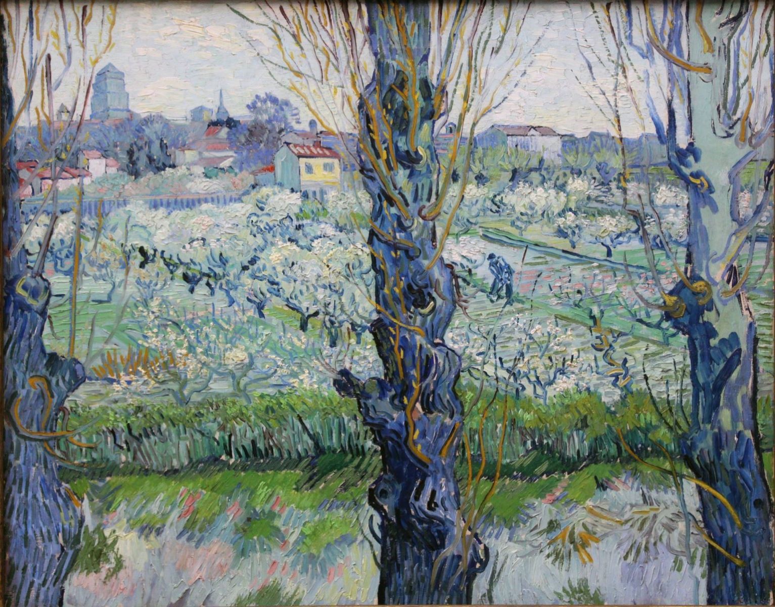 Hình nền Cảnh quan Arles, cây ăn quả ra hoa, 1889