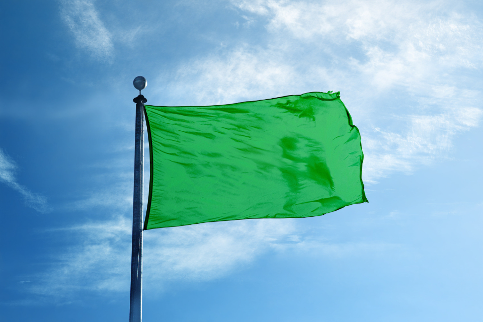Green Flag là gì?