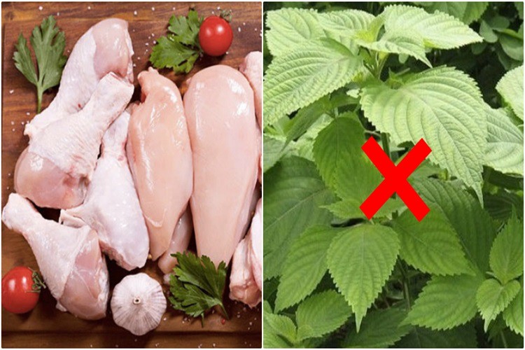 Thịt gà nấu với rau gì để bổ sung dinh dưỡng đầy đủ cho bé? Các loại rau kị không nấu với thịt gà - Hình 4
