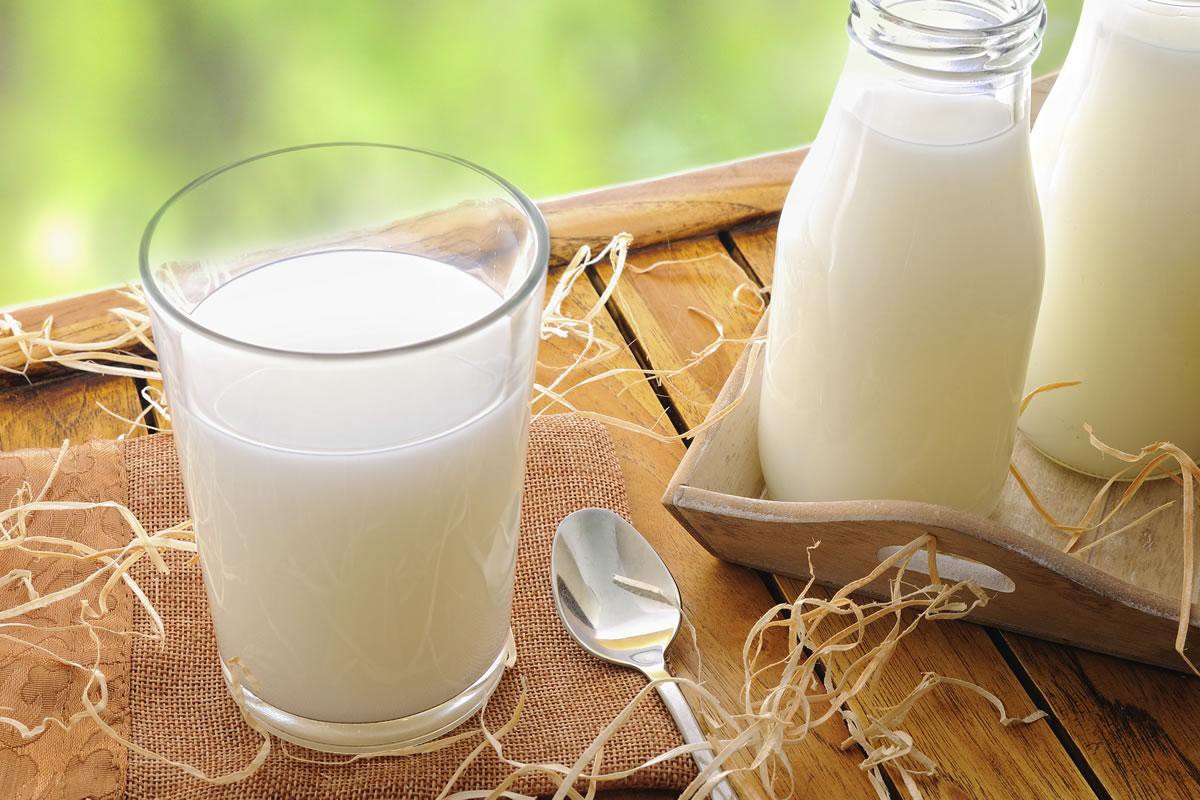 Cách ăn yến mạch với sữa tươi cực ngon, tiện lợi và đầy đủ dinh dưỡng cho bữa sáng 2