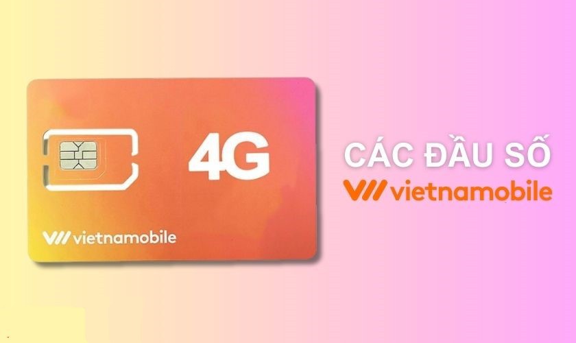 đăng ký 4G Vietnamobile - hình 2