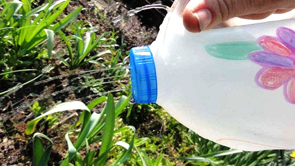 Dùng chai nhựa làm bình tưới nước.