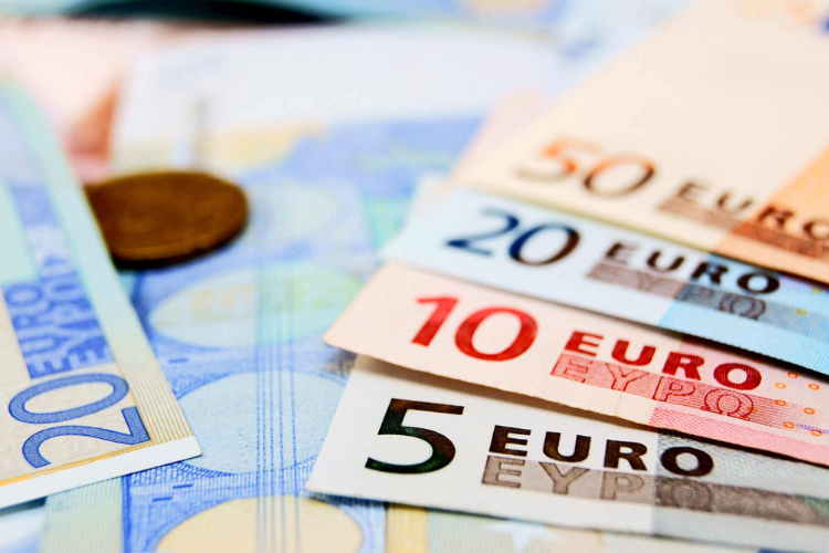 Euro là đơn vị tiền tệ của Liên minh Tiền tệ châu Âu