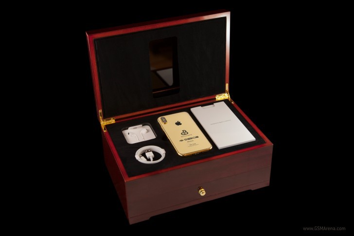 Phiên bản iPhone X mạ vàng giá gần 130,000 USD (ảnh 3)