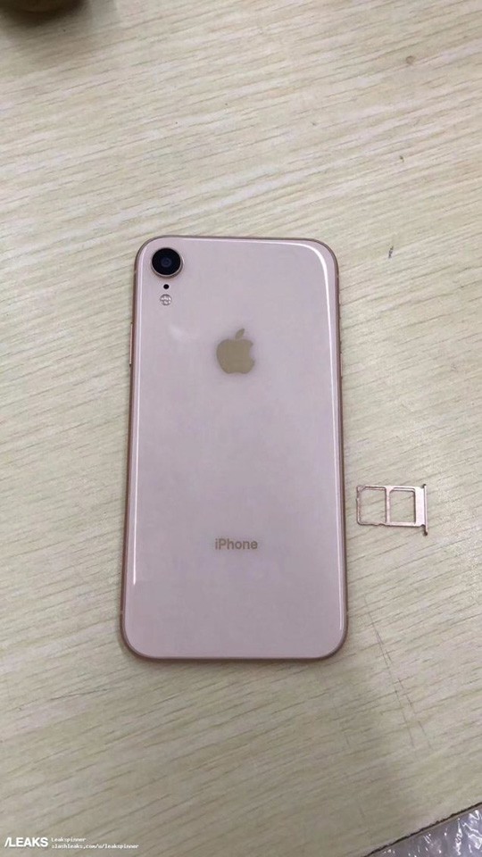 iPhone 6.1 inch (ảnh 2)