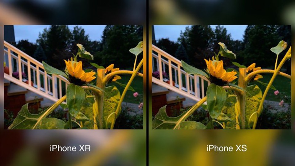 So sánh camera iPhone XR và iPhone XS (ảnh 6)