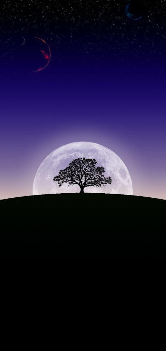 Mặt Trăng Trên Bầu Trời Tuyệt đẹp Của Nền Hình ảnh  Định dạng hình ảnh PSD  400287703 vnlovepikcom