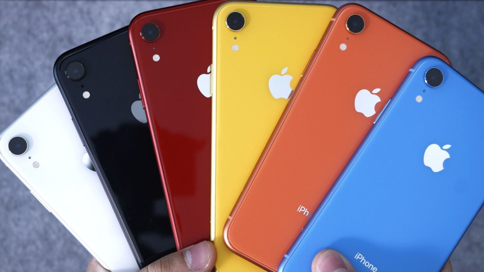 iPhone XR 2019 sẽ có 2 màu mới là Xanh lá cây và Tím oải hương -  Fptshop.com.vn