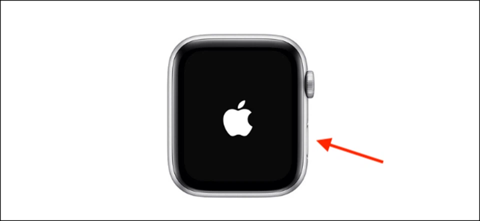 Cách bật Apple Watch của bạn
