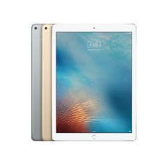 iPad Pro 12.9 Wi-Fi 4G 256GB