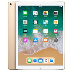 iPad Pro 12.9 WI-FI 256GB (2017)