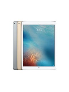 iPad Pro 12.9 Wi-Fi 4G 256GB