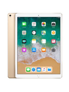 iPad Pro 12.9 WI-FI 256GB (2017)